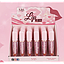 Sas - Lip Gloss Voluminizador de Labios 24 Unidades SAC053