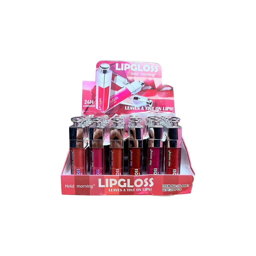Hold Morning - Lip Gloss